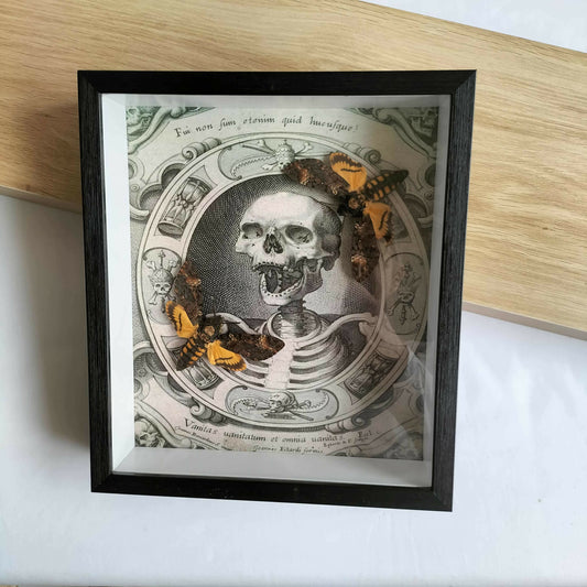 Acherontia Atropas Double