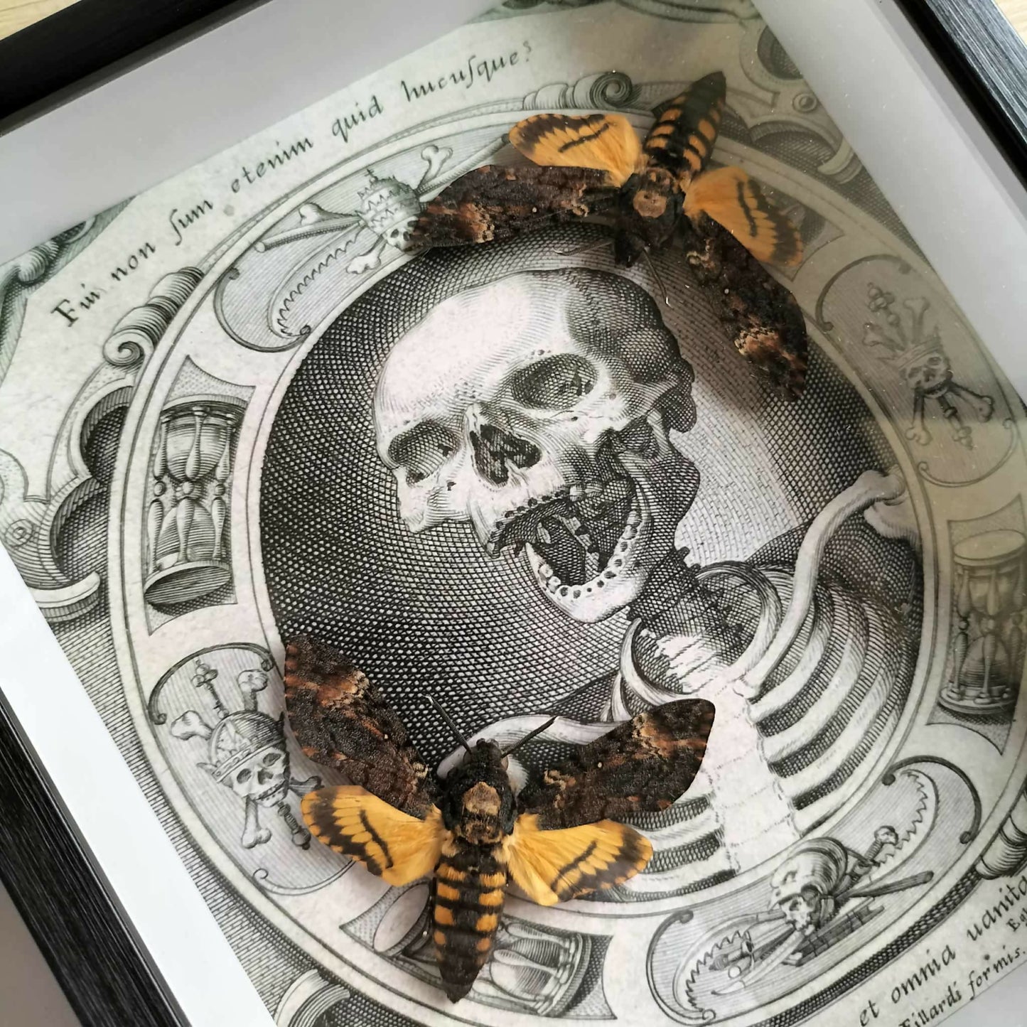 Acherontia Atropas Double