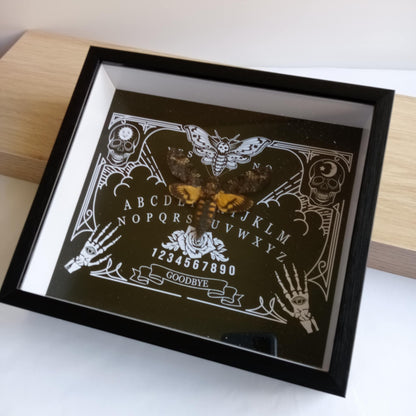 Ouija Board Death Head Moth