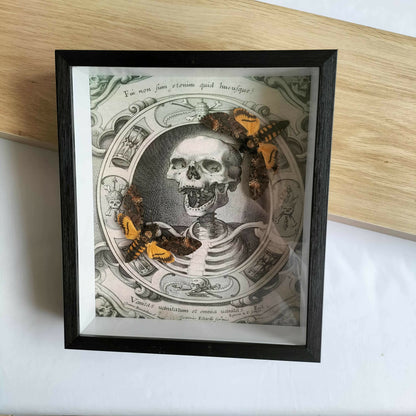 Acherontia Atropas Double